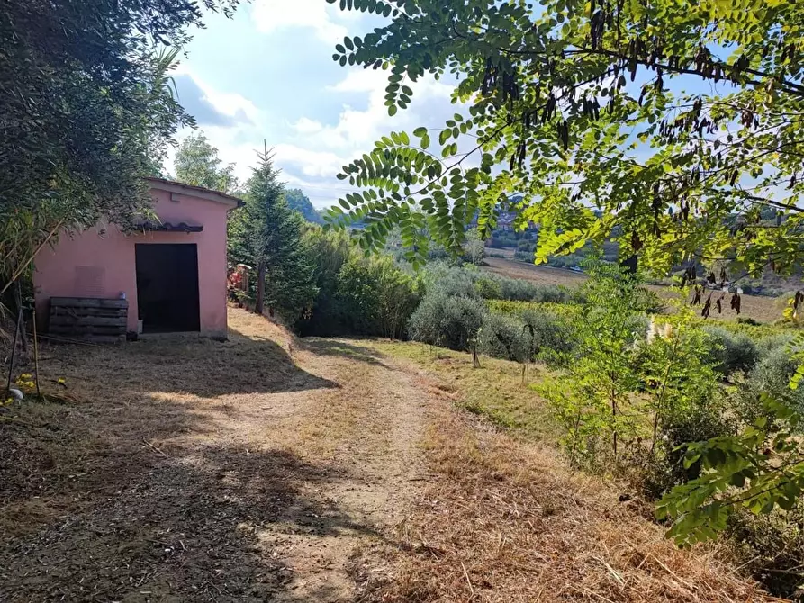 Immagine 1 di Terreno agricolo in vendita  a Capannoli