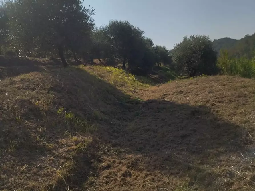 Immagine 25 di Casa bifamiliare in vendita  a Palaia