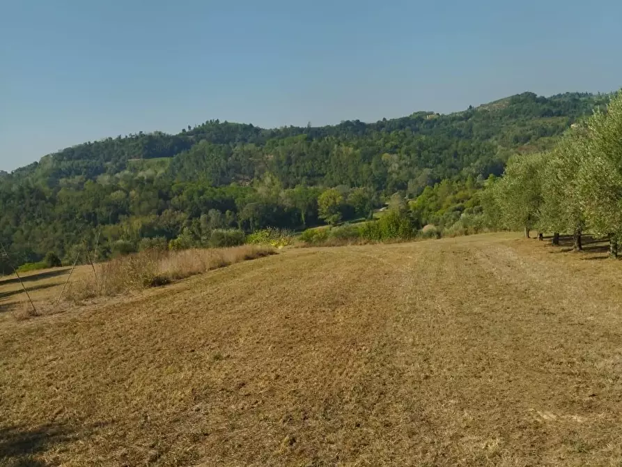 Immagine 22 di Casa bifamiliare in vendita  a Palaia