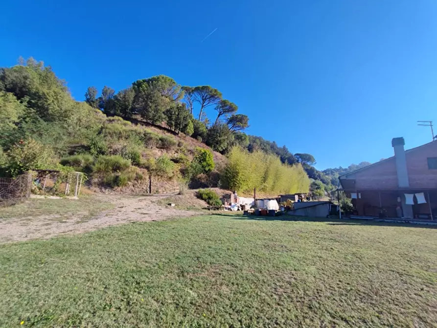 Immagine 21 di Casa bifamiliare in vendita  a Palaia