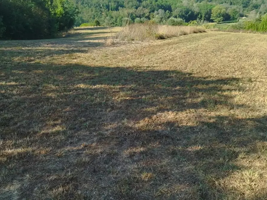 Immagine 26 di Casa bifamiliare in vendita  a Palaia