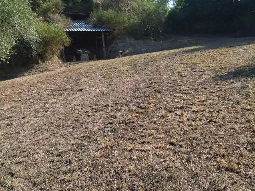 Immagine 33 di Casa bifamiliare in vendita  a Palaia