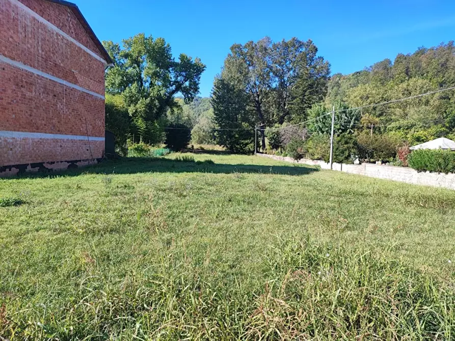 Immagine 5 di Terreno residenziale in vendita  a Palaia