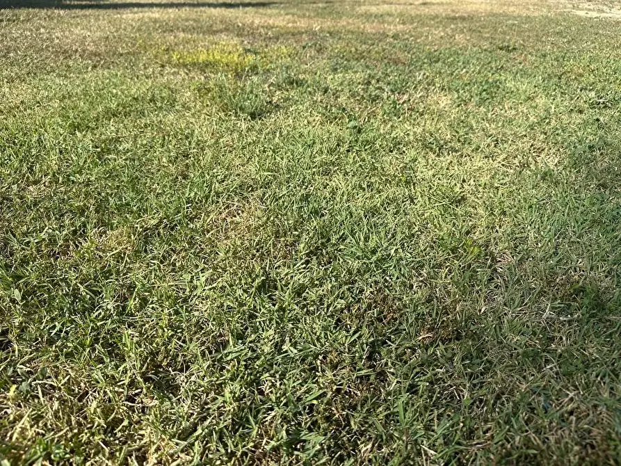 Immagine 38 di Casa indipendente in vendita  a Empoli