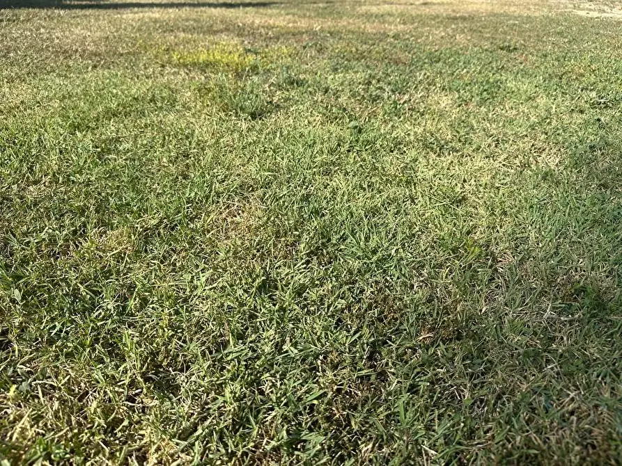 Immagine 8 di Casa indipendente in vendita  a Empoli