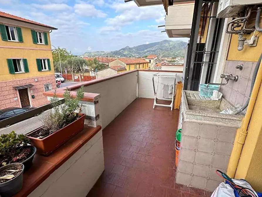Immagine 9 di Appartamento in vendita  a Massa