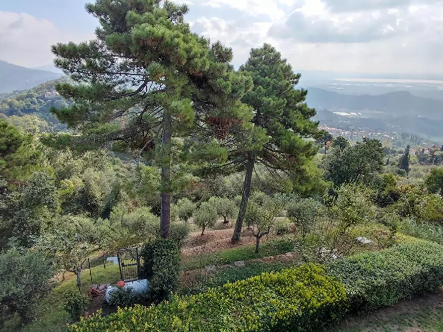 Immagine 42 di Villa in vendita  a Massarosa