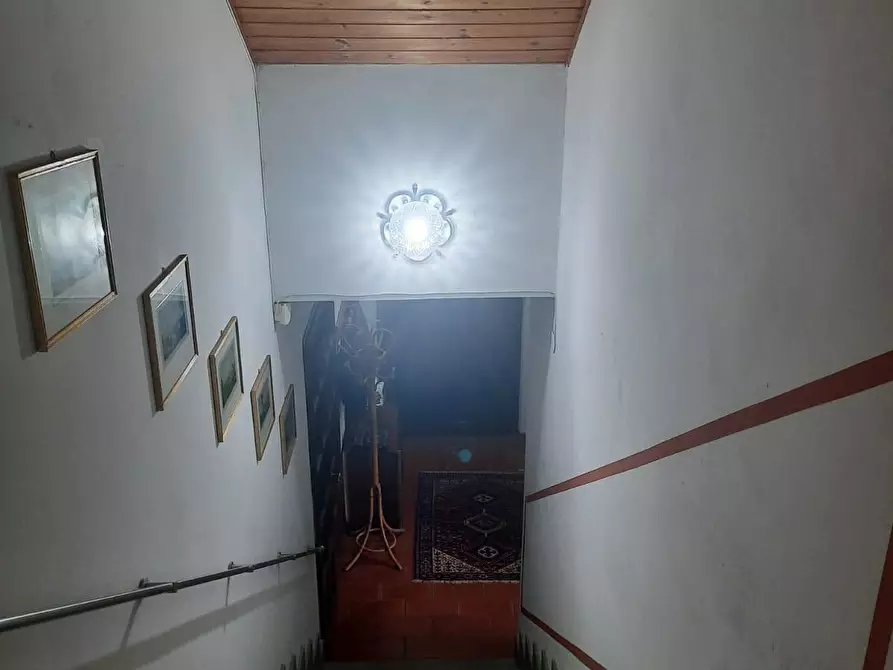 Immagine 32 di Rustico / casale in vendita  a Manciano