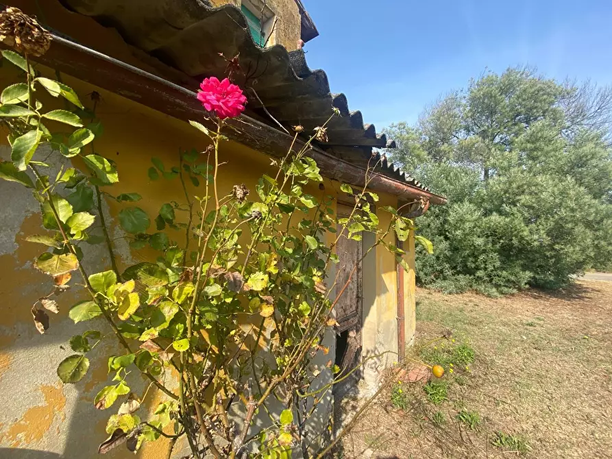 Immagine 2 di Casa indipendente in vendita  a Santa Maria A Monte