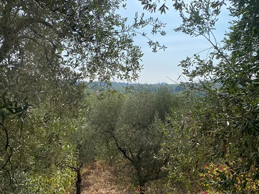 Immagine 3 di Casa indipendente in vendita  a Santa Maria A Monte