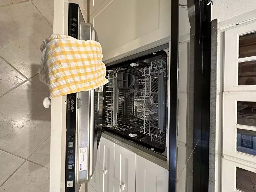 Immagine 46 di Villa in affitto  a Forte Dei Marmi