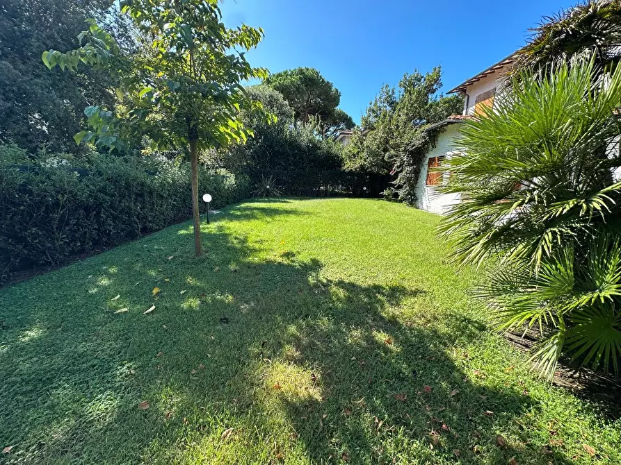 Immagine 7 di Villa in affitto  a Forte Dei Marmi