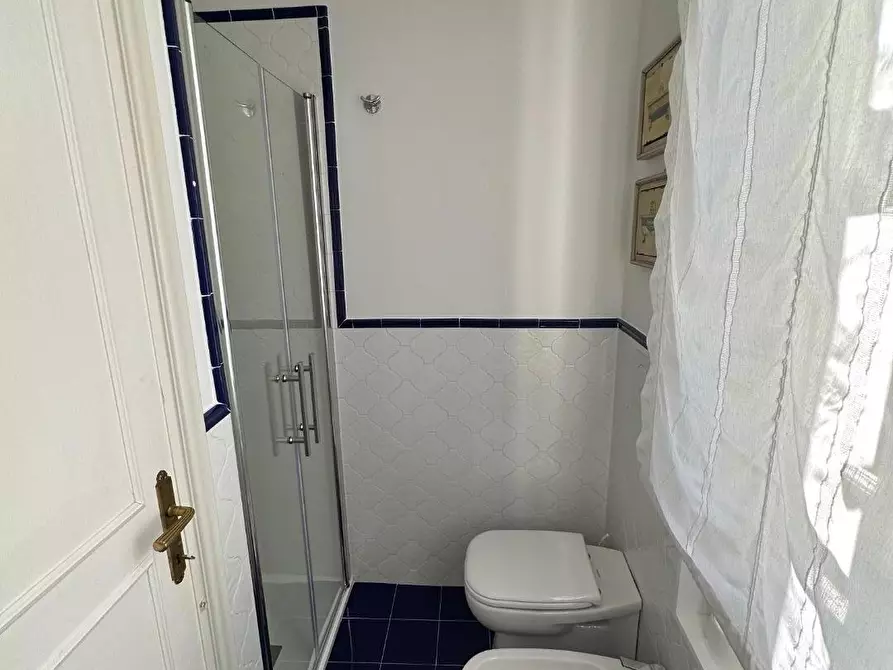 Immagine 36 di Villa in affitto  a Forte Dei Marmi