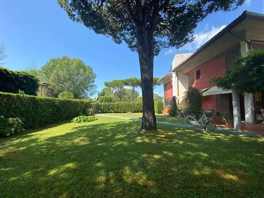 Immagine 15 di Casa indipendente in vendita  a Massa