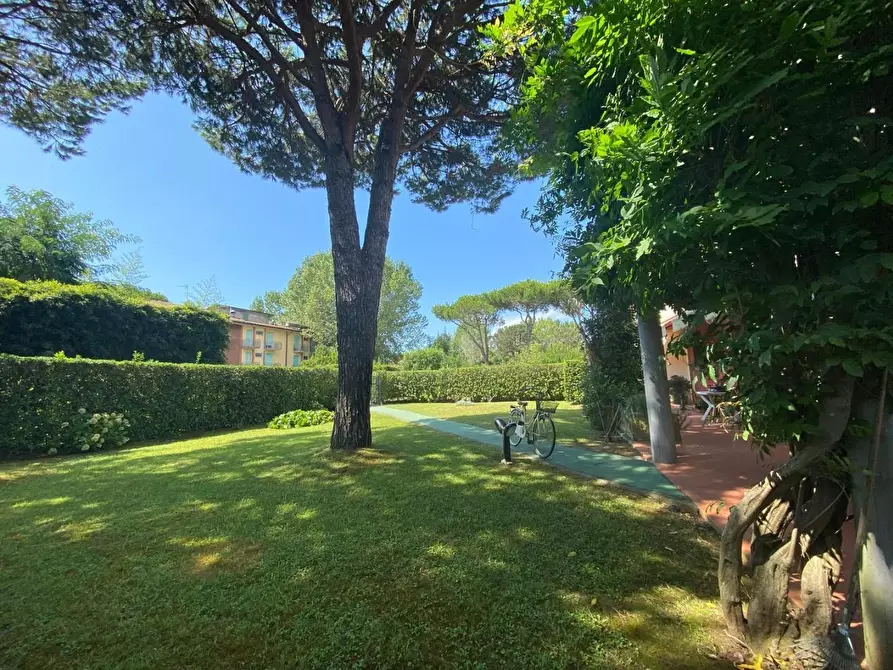 Immagine 12 di Casa indipendente in vendita  a Massa