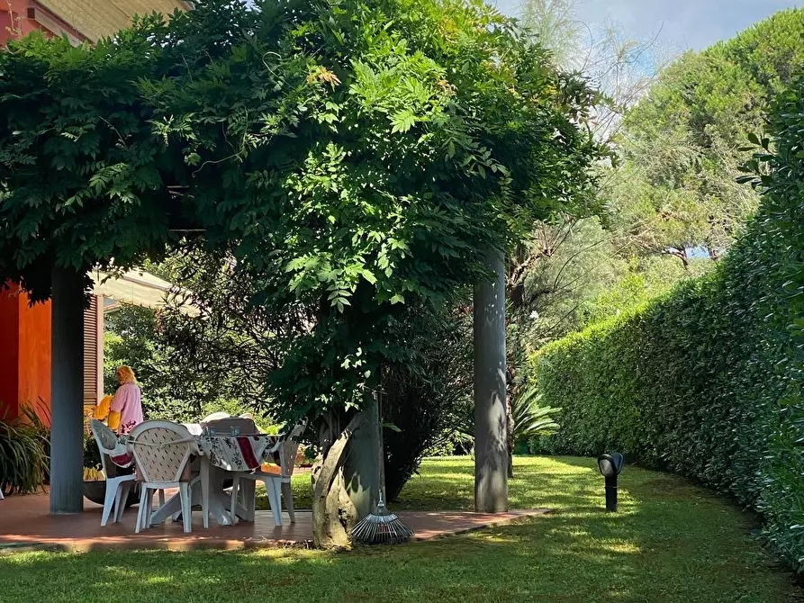 Immagine 19 di Casa indipendente in vendita  a Massa