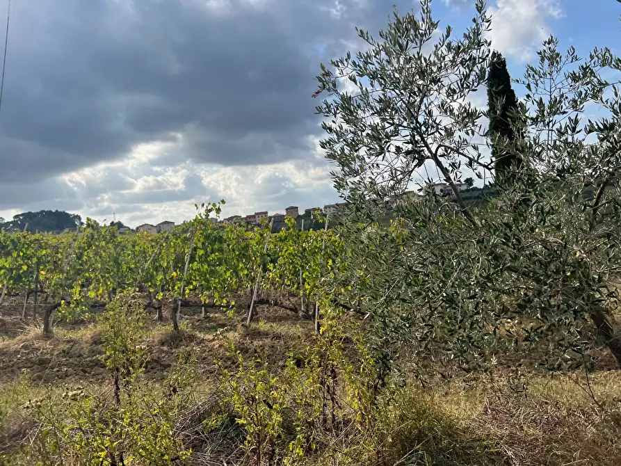 Immagine 32 di Casa colonica in vendita  a Cerreto Guidi