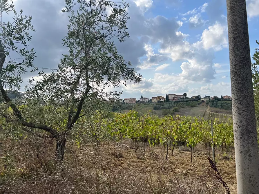 Immagine 31 di Casa colonica in vendita  a Cerreto Guidi