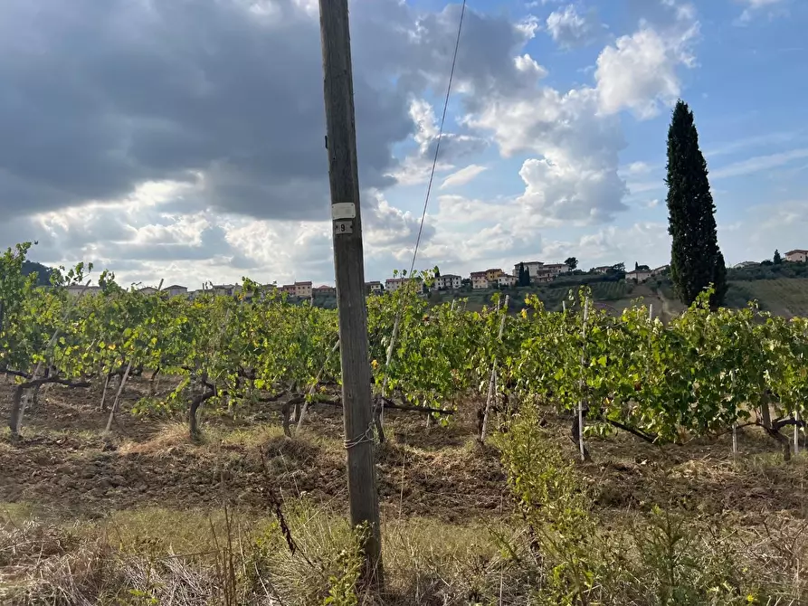 Immagine 33 di Casa colonica in vendita  a Cerreto Guidi