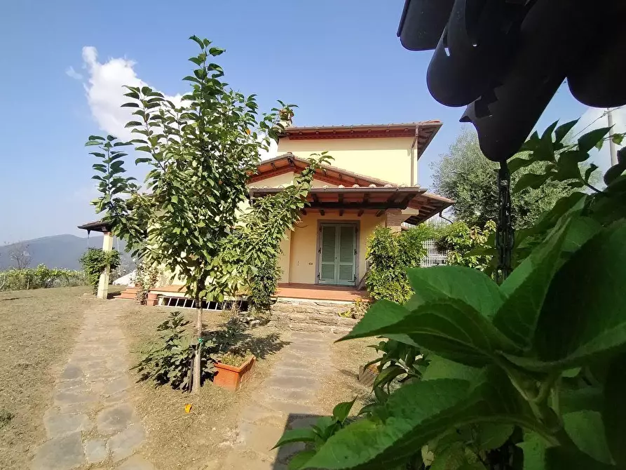 Immagine 2 di Villa in vendita  a Massa
