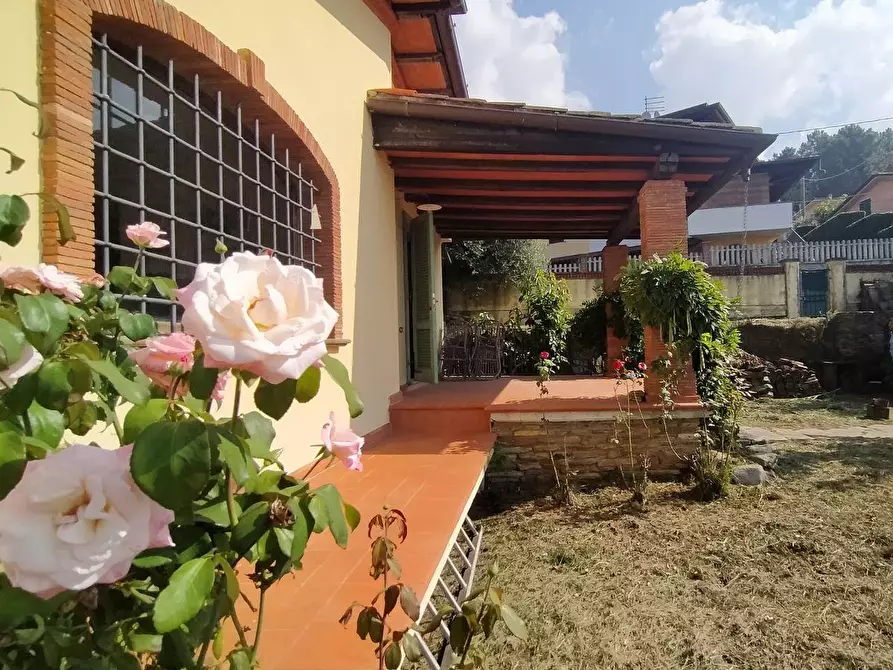 Immagine 5 di Villa in vendita  a Massa