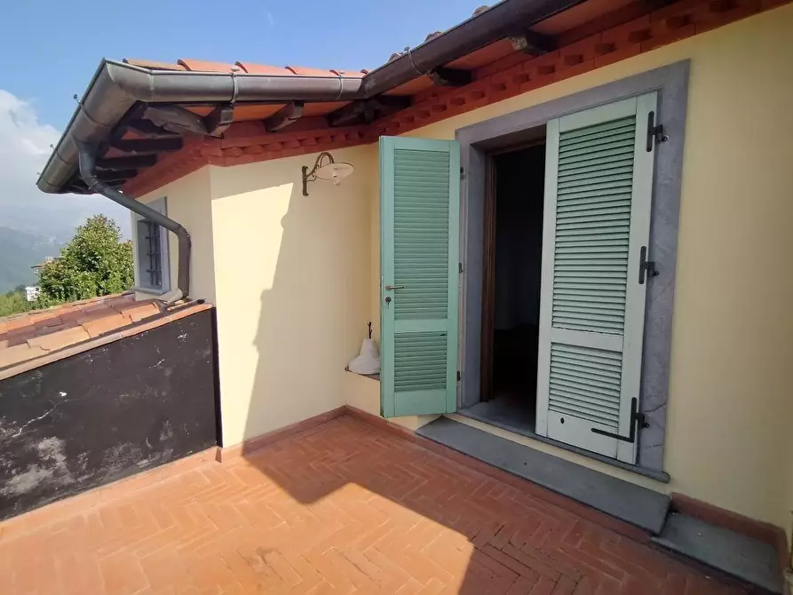 Immagine 21 di Villa in vendita  a Massa