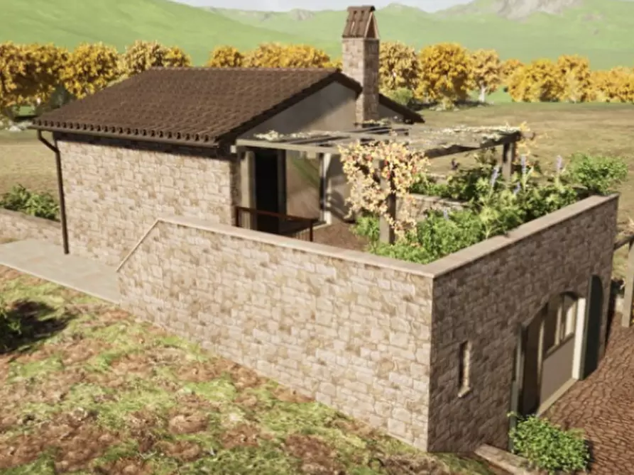 Immagine 9 di Azienda agricola in vendita  a Roccalbegna