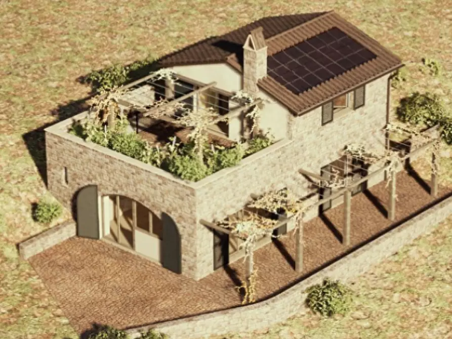 Immagine 10 di Azienda agricola in vendita  a Roccalbegna