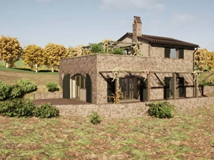 Immagine 8 di Azienda agricola in vendita  a Roccalbegna