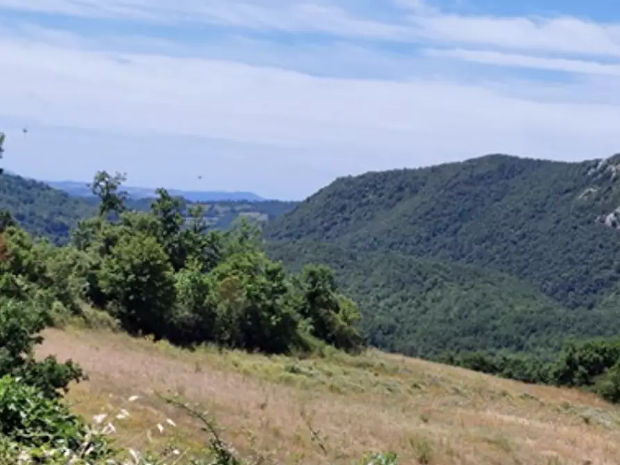 Immagine 3 di Azienda agricola in vendita  a Roccalbegna