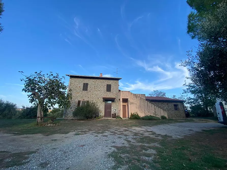 Immagine 1 di Casa colonica in vendita  a Grosseto