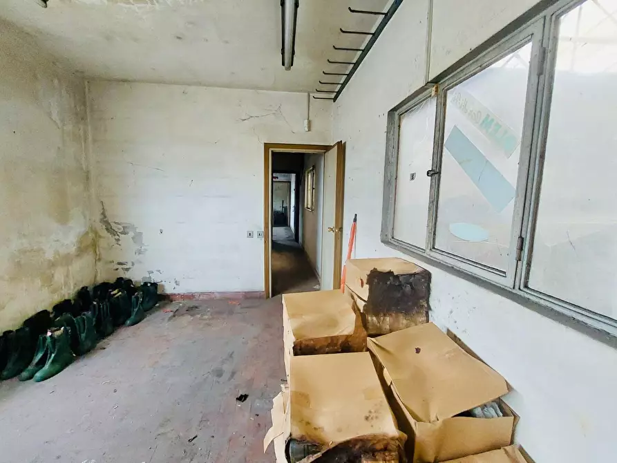 Immagine 28 di Capannone industriale in vendita  a Viareggio