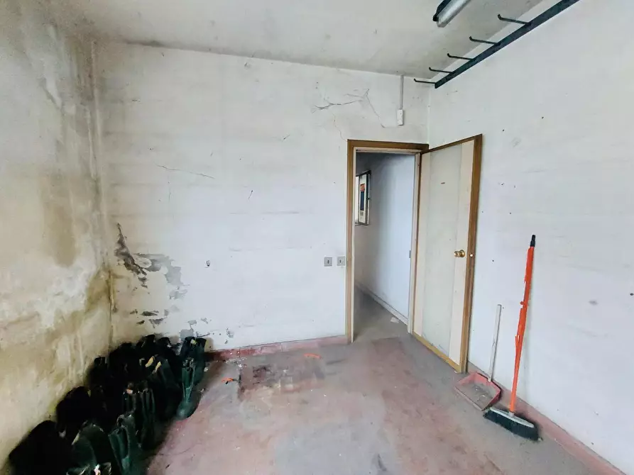 Immagine 27 di Capannone industriale in vendita  a Viareggio