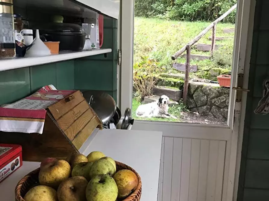 Immagine 14 di Villa in vendita  a Fivizzano