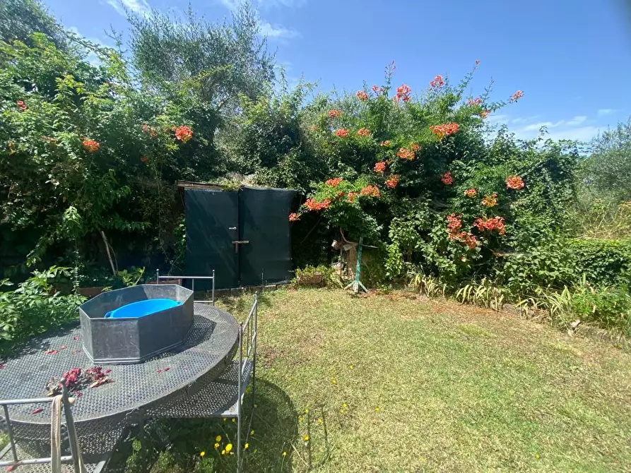 Immagine 25 di Casa colonica in vendita  a Manciano