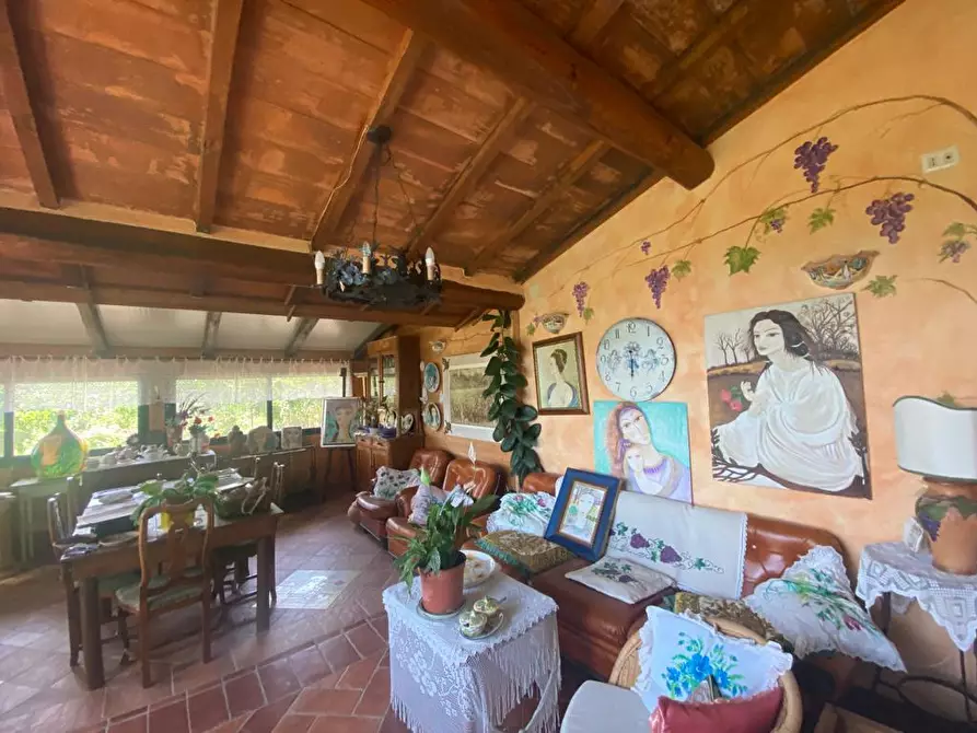 Immagine 13 di Casa colonica in vendita  a Manciano