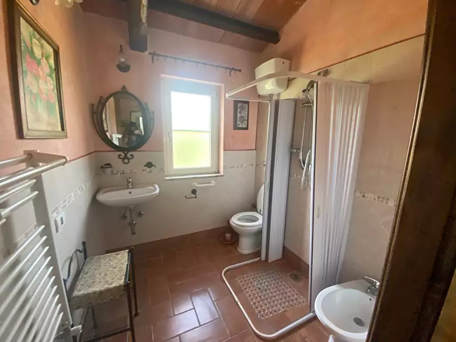Immagine 21 di Casa colonica in vendita  a Manciano