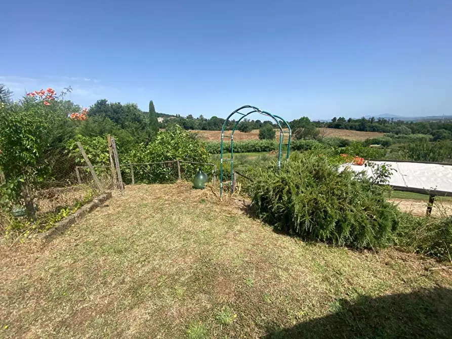 Immagine 26 di Casa colonica in vendita  a Manciano