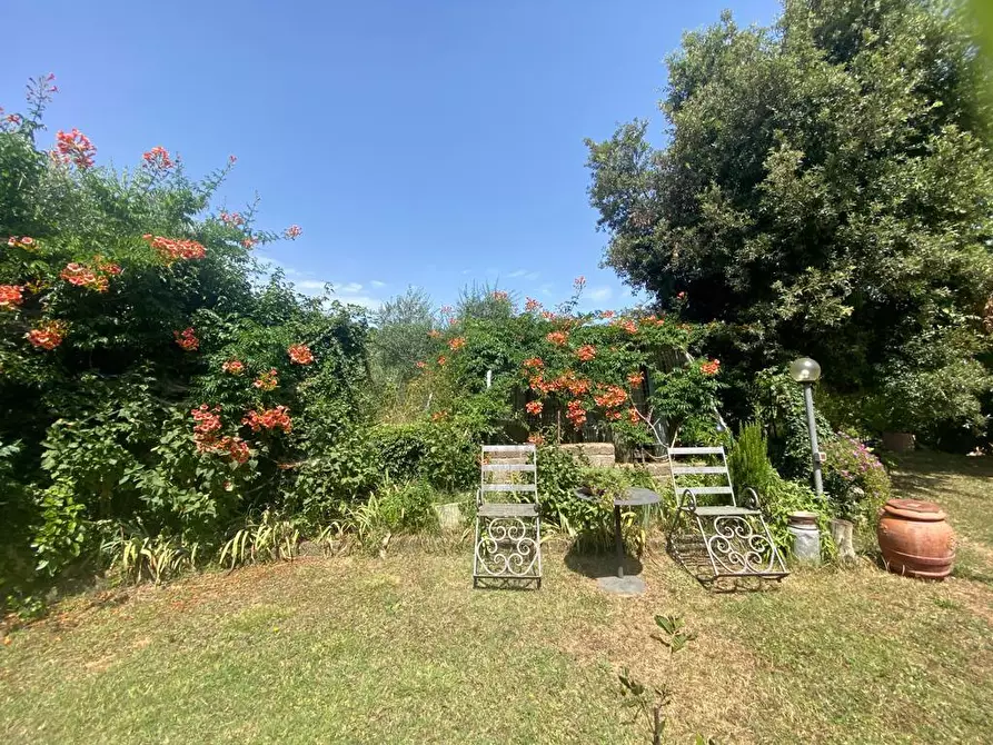 Immagine 5 di Casa colonica in vendita  a Manciano