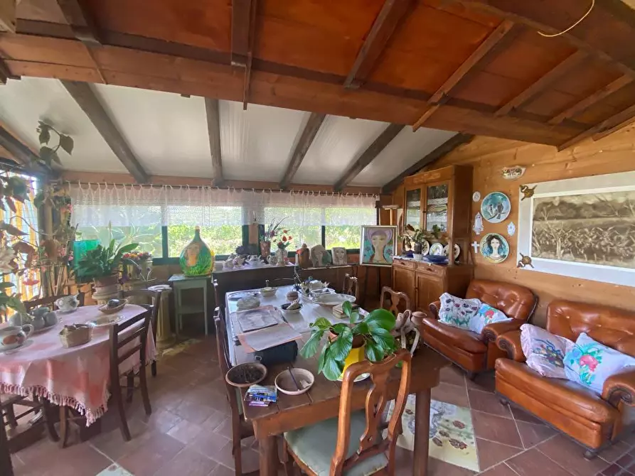 Immagine 15 di Casa colonica in vendita  a Manciano