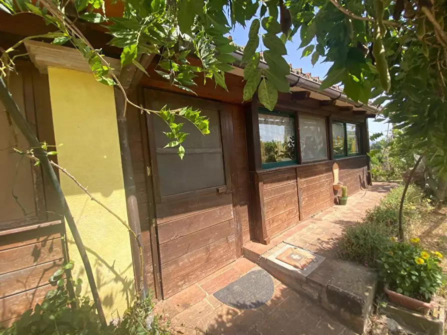 Immagine 6 di Casa colonica in vendita  a Manciano