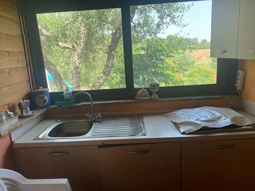 Immagine 7 di Casa colonica in vendita  a Manciano