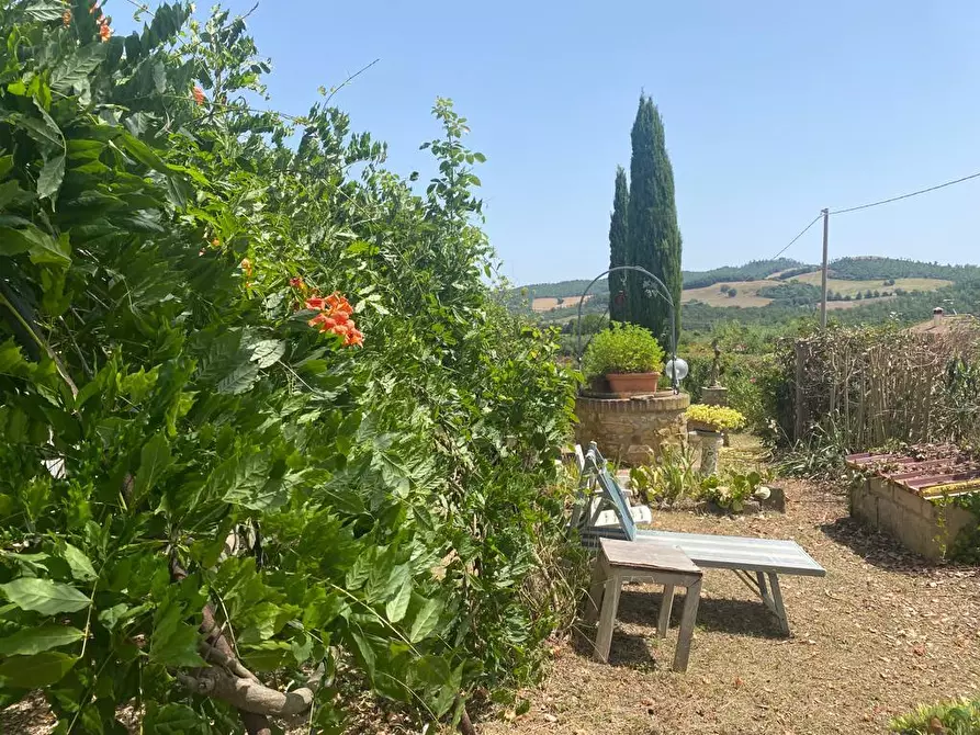 Immagine 1 di Casa colonica in vendita  a Manciano