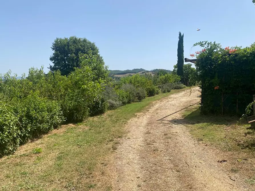 Immagine 23 di Casa colonica in vendita  a Manciano