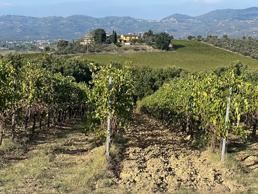 Immagine 73 di Villa in vendita  a Cerreto Guidi