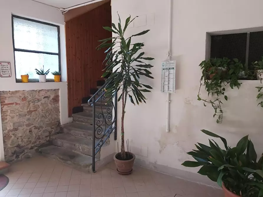 Immagine 12 di Appartamento in vendita  a Buti