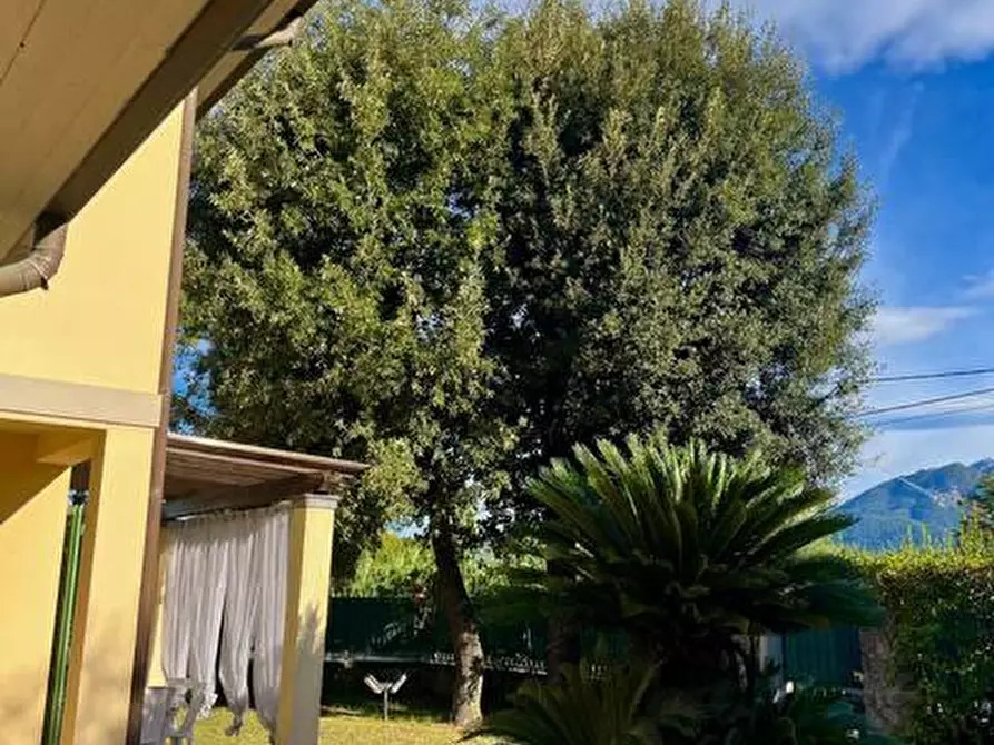 Immagine 11 di Casa indipendente in affitto  a Massa