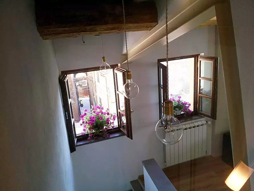 Immagine 24 di Appartamento in affitto  a Peccioli