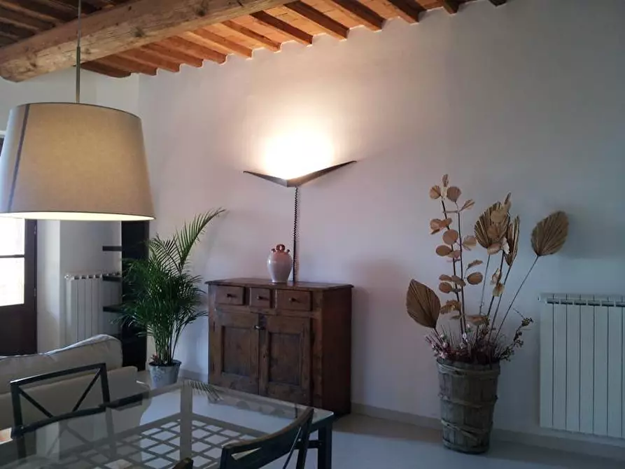 Immagine 6 di Appartamento in affitto  a Peccioli