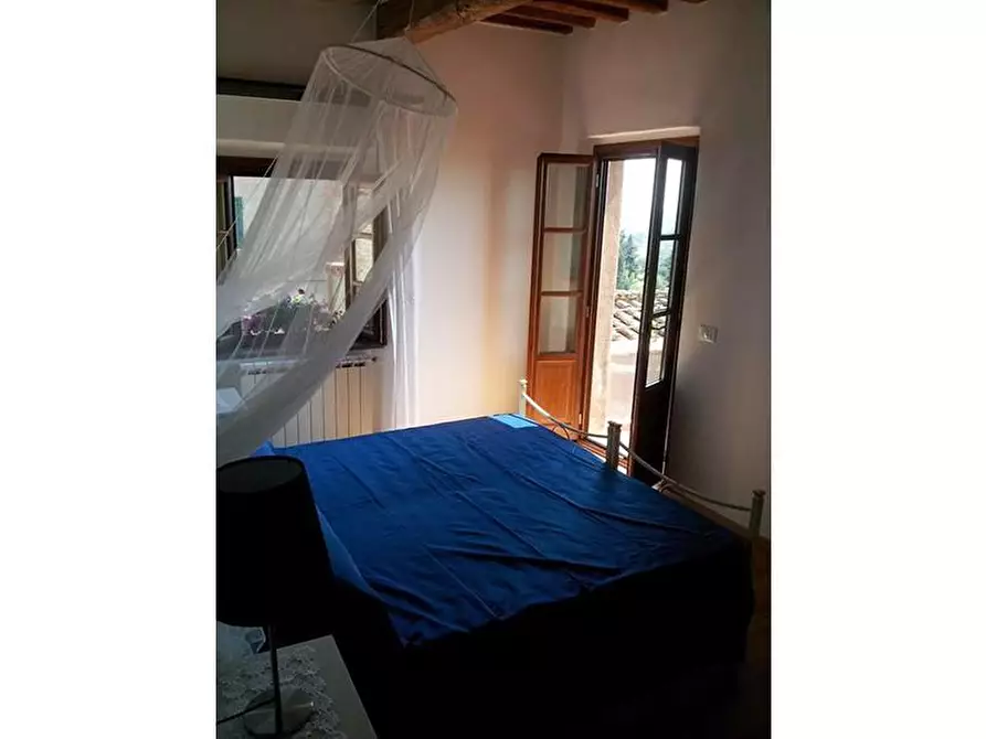 Immagine 18 di Appartamento in affitto  a Peccioli